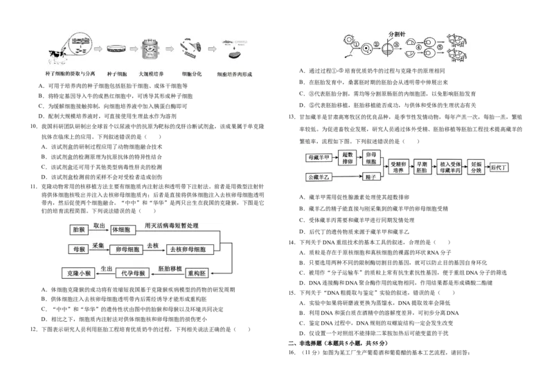 四川省南充市顺庆区南充高级中学2024-2025学年高二下学期4月期中生物试题_2024-2025高二（7-7月题库）_2025年04月试卷(1)_0427四川省南充市高级中学2024-2025学年高二下学期期中考试