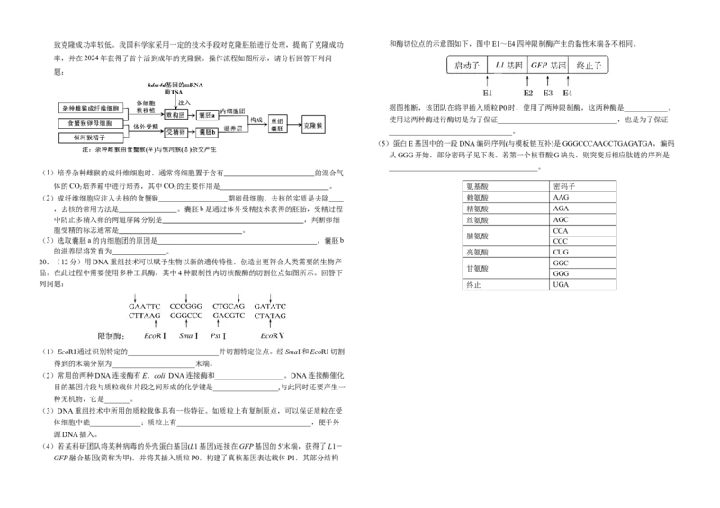四川省南充市顺庆区南充高级中学2024-2025学年高二下学期4月期中生物试题_2024-2025高二（7-7月题库）_2025年04月试卷(1)_0427四川省南充市高级中学2024-2025学年高二下学期期中考试