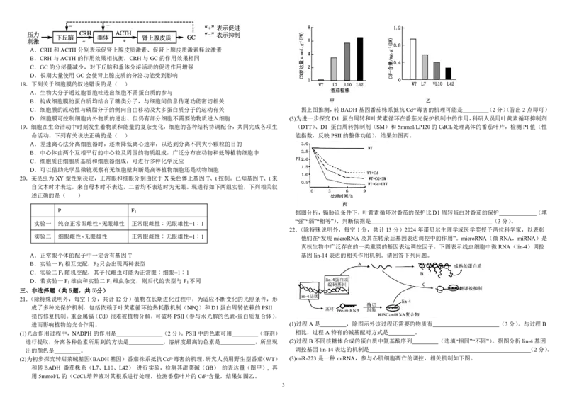 内蒙古自治区巴彦淖尔市第一中学2024-2025学年高三上学期12月月考生物_2024-2025高三（6-6月题库）_2024年12月试卷_1231内蒙古自治区巴彦淖尔市第一中学2024-2025学年高三上学期12月月考试题