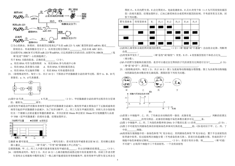 内蒙古自治区巴彦淖尔市第一中学2024-2025学年高三上学期12月月考生物_2024-2025高三（6-6月题库）_2024年12月试卷_1231内蒙古自治区巴彦淖尔市第一中学2024-2025学年高三上学期12月月考试题