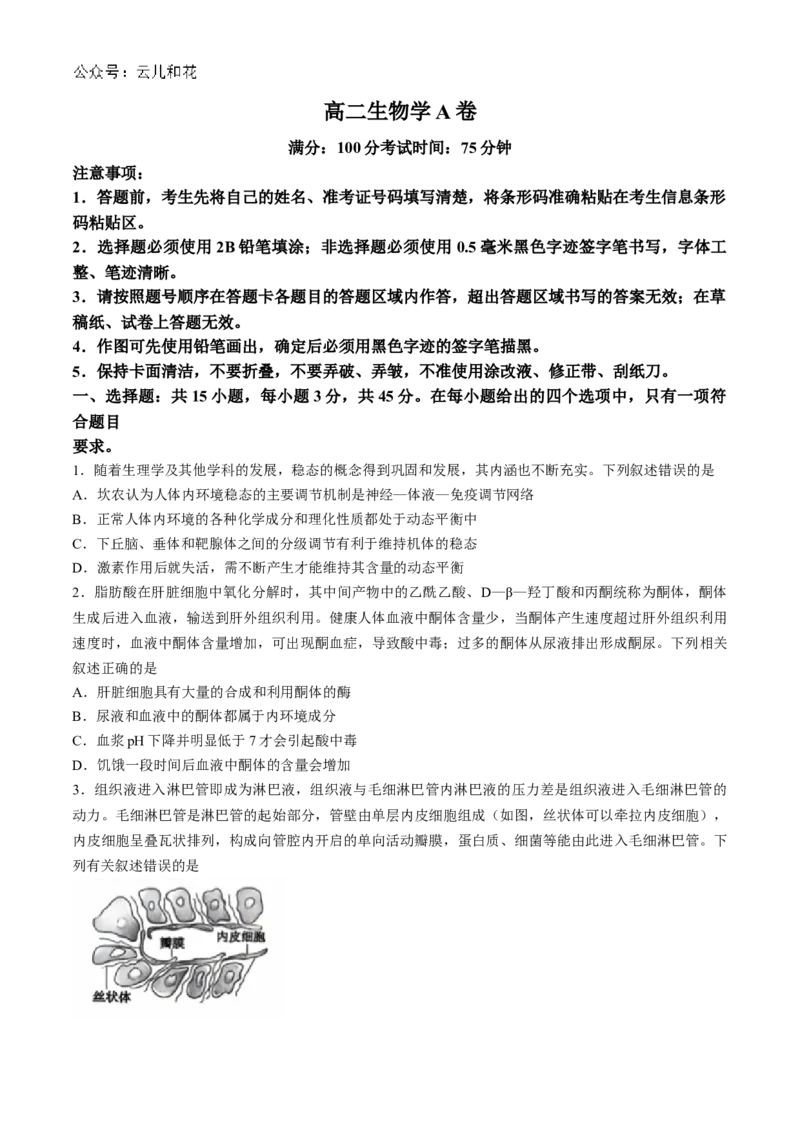 安徽省黄山市黄山八校联考2024-2025学年高二上学期11月期中生物试题（含解析）_2024-2025高二（7-7月题库）_2024年12月试卷