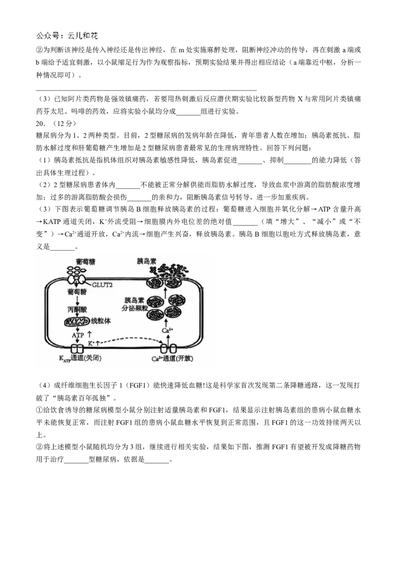 安徽省黄山市黄山八校联考2024-2025学年高二上学期11月期中生物试题（含解析）_2024-2025高二（7-7月题库）_2024年12月试卷