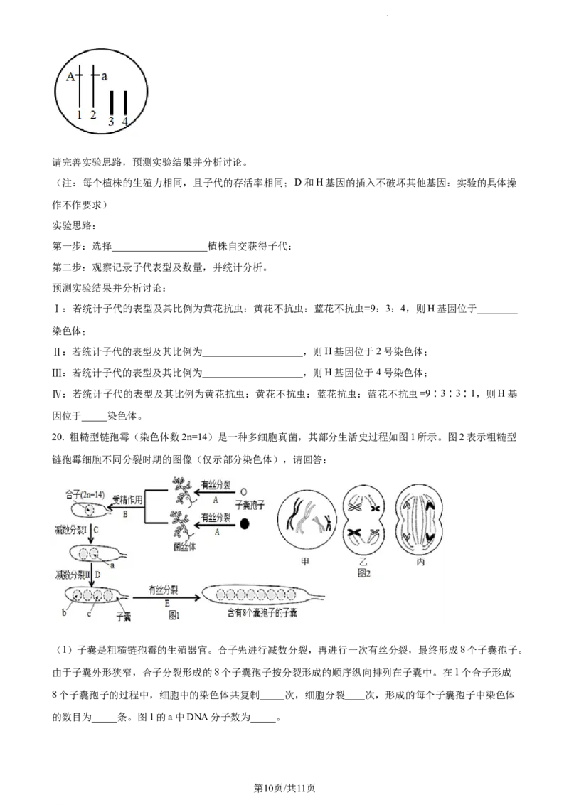 精品解析：福建省莆田市一中2023-2024学年高三上学期期中生物试题（原卷版）(1)_2023年11月_0211月合集_2024届福建省莆田市一中高三上学期期中考试