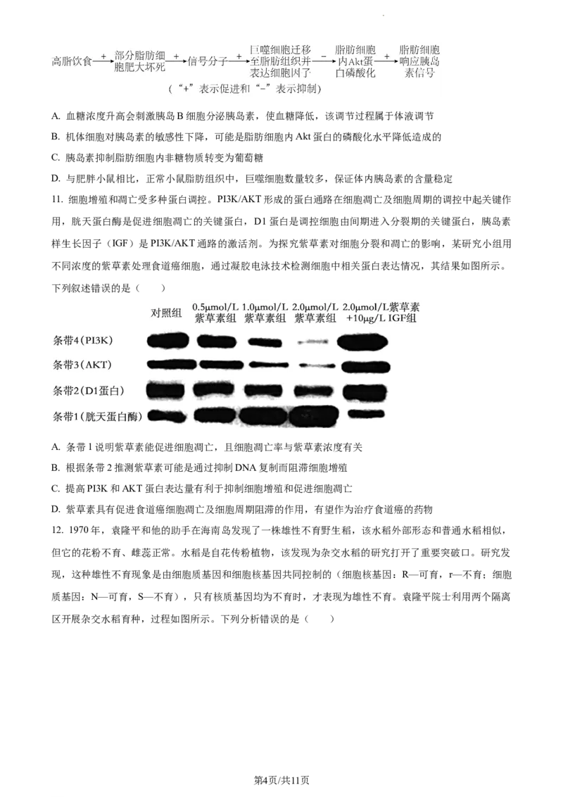 精品解析：福建省莆田市一中2023-2024学年高三上学期期中生物试题（原卷版）(1)_2023年11月_0211月合集_2024届福建省莆田市一中高三上学期期中考试
