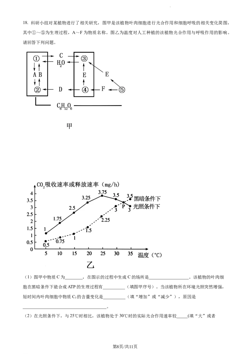 精品解析：福建省莆田市一中2023-2024学年高三上学期期中生物试题（原卷版）(1)_2023年11月_0211月合集_2024届福建省莆田市一中高三上学期期中考试