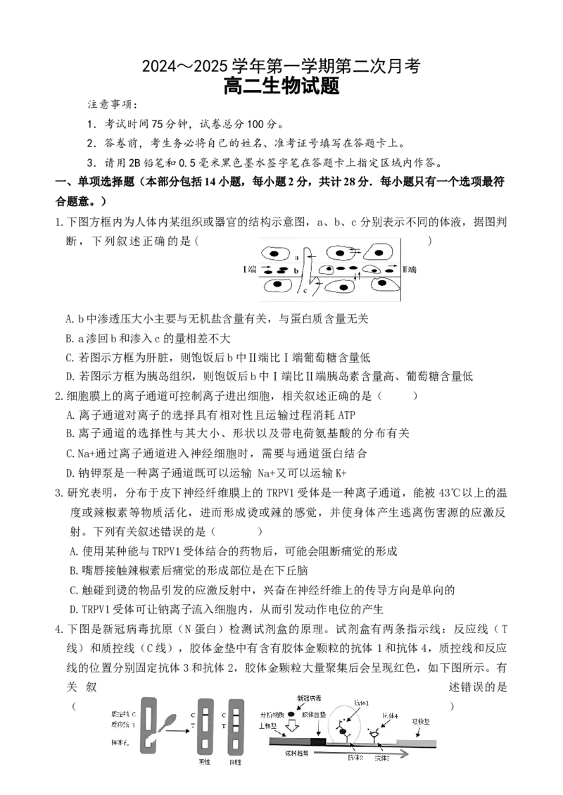 江苏省连云港市灌云县、灌南县2地2024-2025学年高二上学期12月月考试题生物Word版含答案_2024-2025高二（7-7月题库）_2024年12月试卷