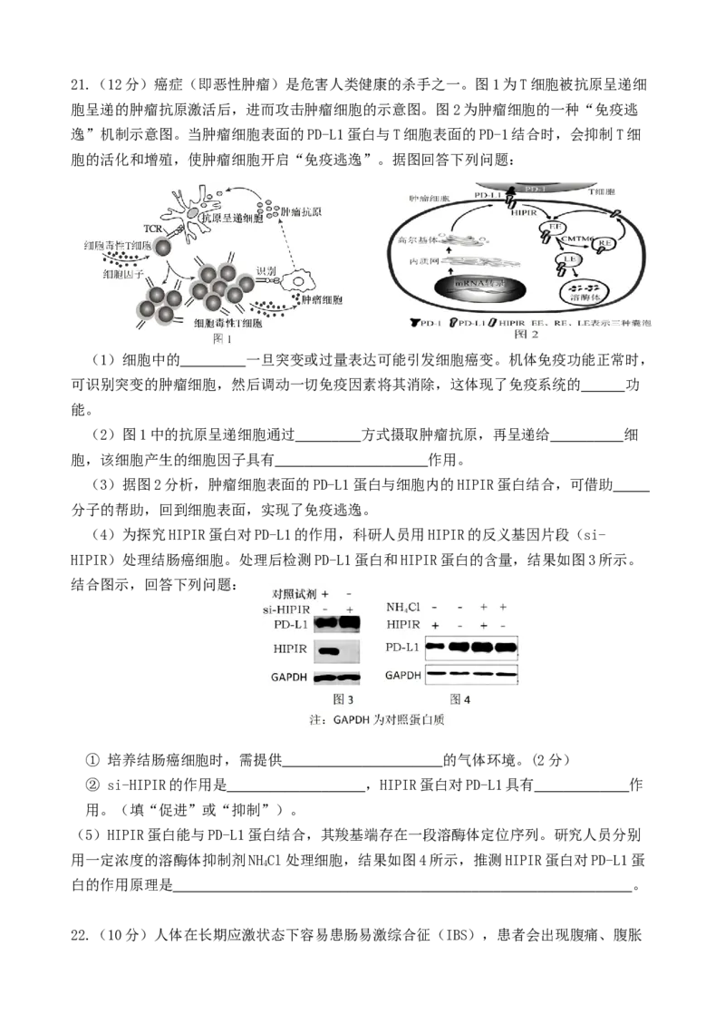 江苏省连云港市灌云县、灌南县2地2024-2025学年高二上学期12月月考试题生物Word版含答案_2024-2025高二（7-7月题库）_2024年12月试卷
