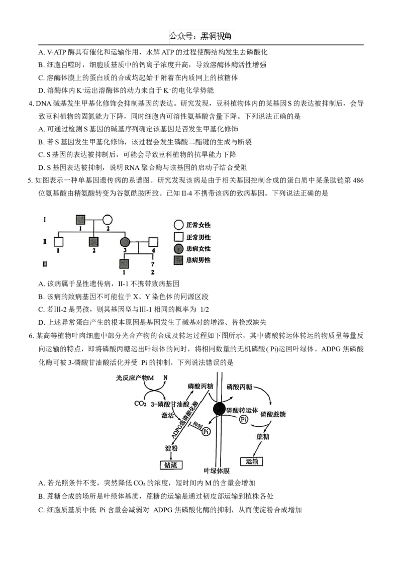 山东省青岛市2024---2025学年高三上学期期初考试生物试题+答案_2024-2025高三（6-6月题库）_2024年09月试卷_0913山东省青岛市2024年高三年级上学期9月期初调研检测