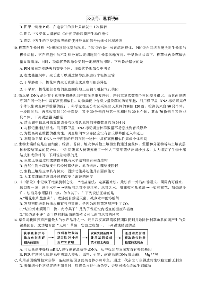 山东省青岛市2024---2025学年高三上学期期初考试生物试题+答案_2024-2025高三（6-6月题库）_2024年09月试卷_0913山东省青岛市2024年高三年级上学期9月期初调研检测