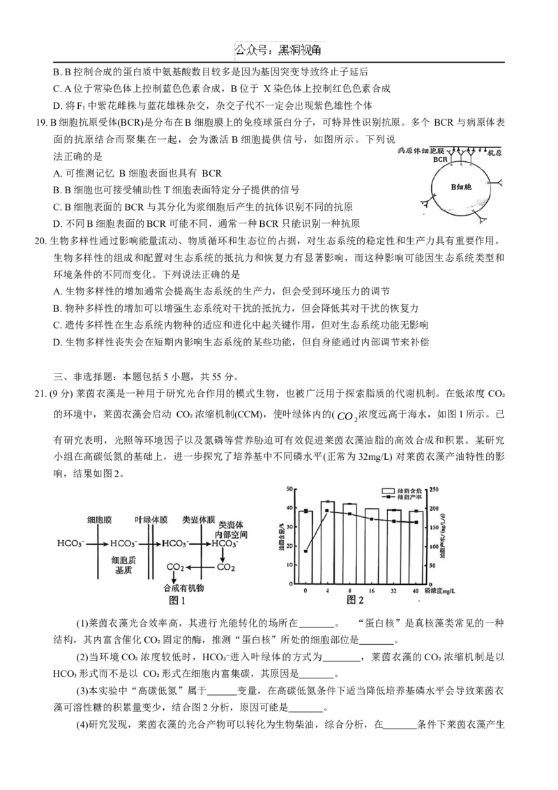 山东省青岛市2024---2025学年高三上学期期初考试生物试题+答案_2024-2025高三（6-6月题库）_2024年09月试卷_0913山东省青岛市2024年高三年级上学期9月期初调研检测