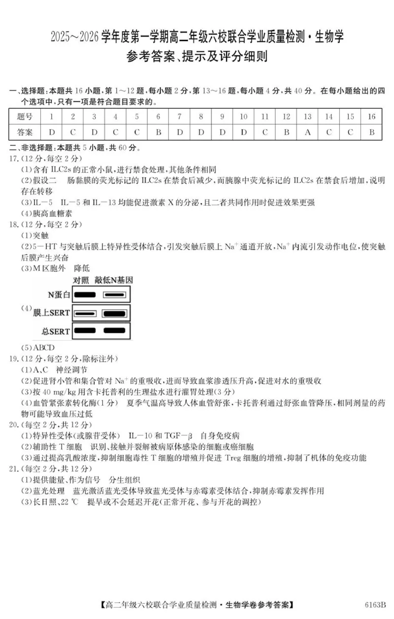 6163B生物学DA_251215广东省六校2025-2026学年高二上学期12月联合学业质量检测（全）_广东省六校2025-2026学年高二上学期12月联合学业质量检测生物试题（图片版，含答案）