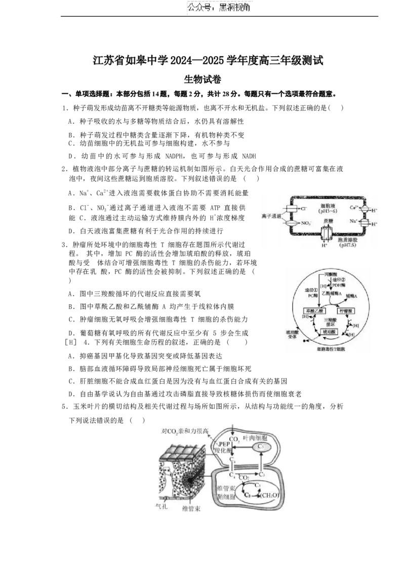 江苏省如皋中学2024&mdash;2025学年度高三年级测试生物试题（含答案）_2024-2025高三（6-6月题库）_2024年09月试卷_09212025江苏省如皋中学高三上学期期初考试