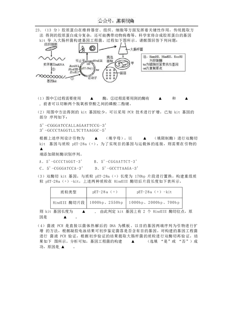 江苏省如皋中学2024&mdash;2025学年度高三年级测试生物试题（含答案）_2024-2025高三（6-6月题库）_2024年09月试卷_09212025江苏省如皋中学高三上学期期初考试