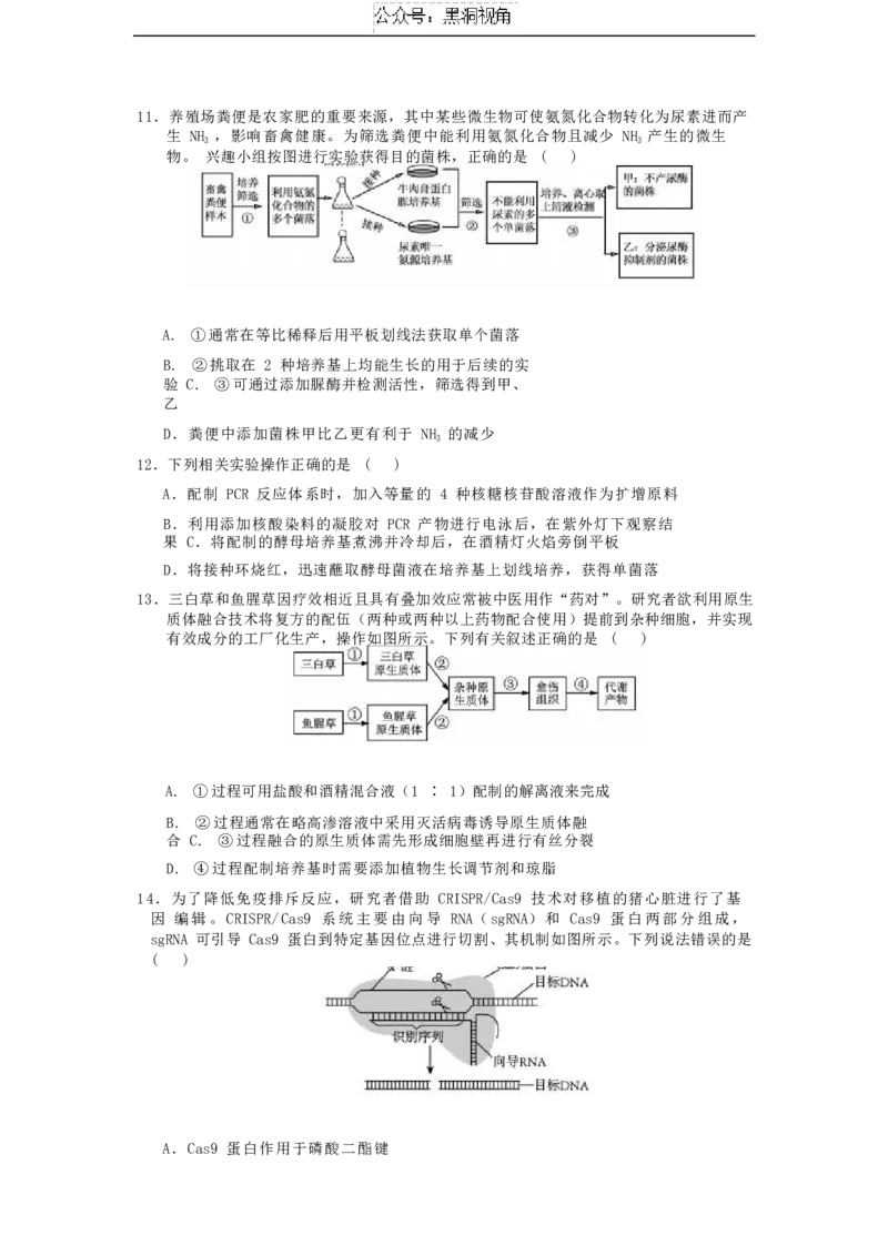 江苏省如皋中学2024&mdash;2025学年度高三年级测试生物试题（含答案）_2024-2025高三（6-6月题库）_2024年09月试卷_09212025江苏省如皋中学高三上学期期初考试