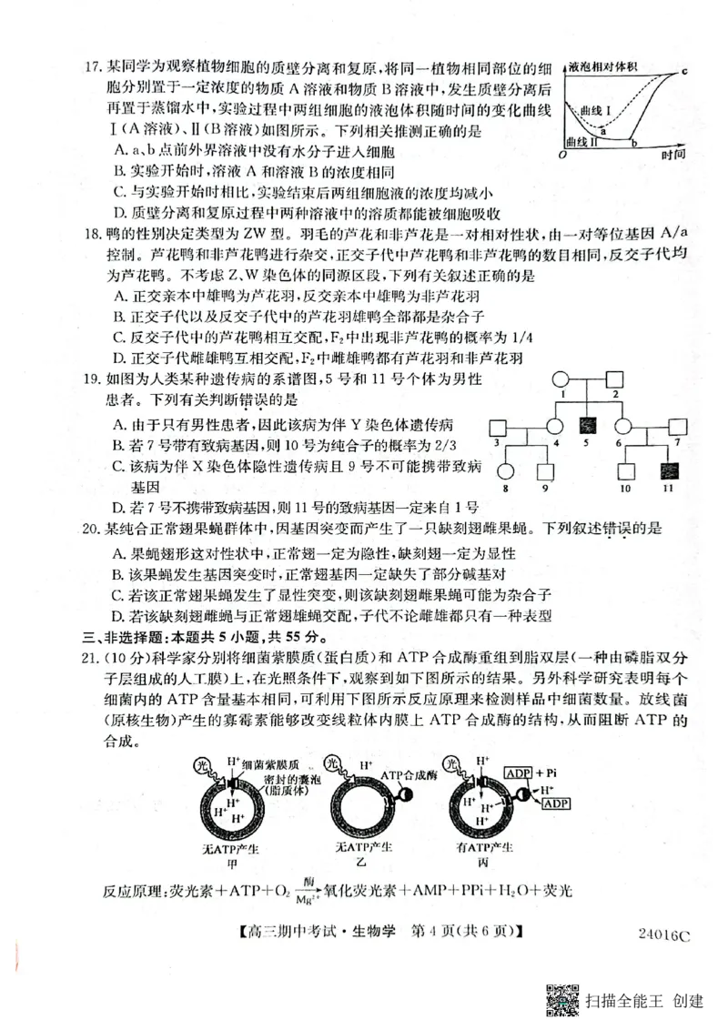 齐齐哈尔普高联谊校高三期中_生物学(1)_2023年11月_0211月合集_2024届黑龙江省齐齐哈尔市普高联谊校高三上学期期中考试_黑龙江省齐齐哈尔市普高联谊校2024届高三上学期期中考试生物