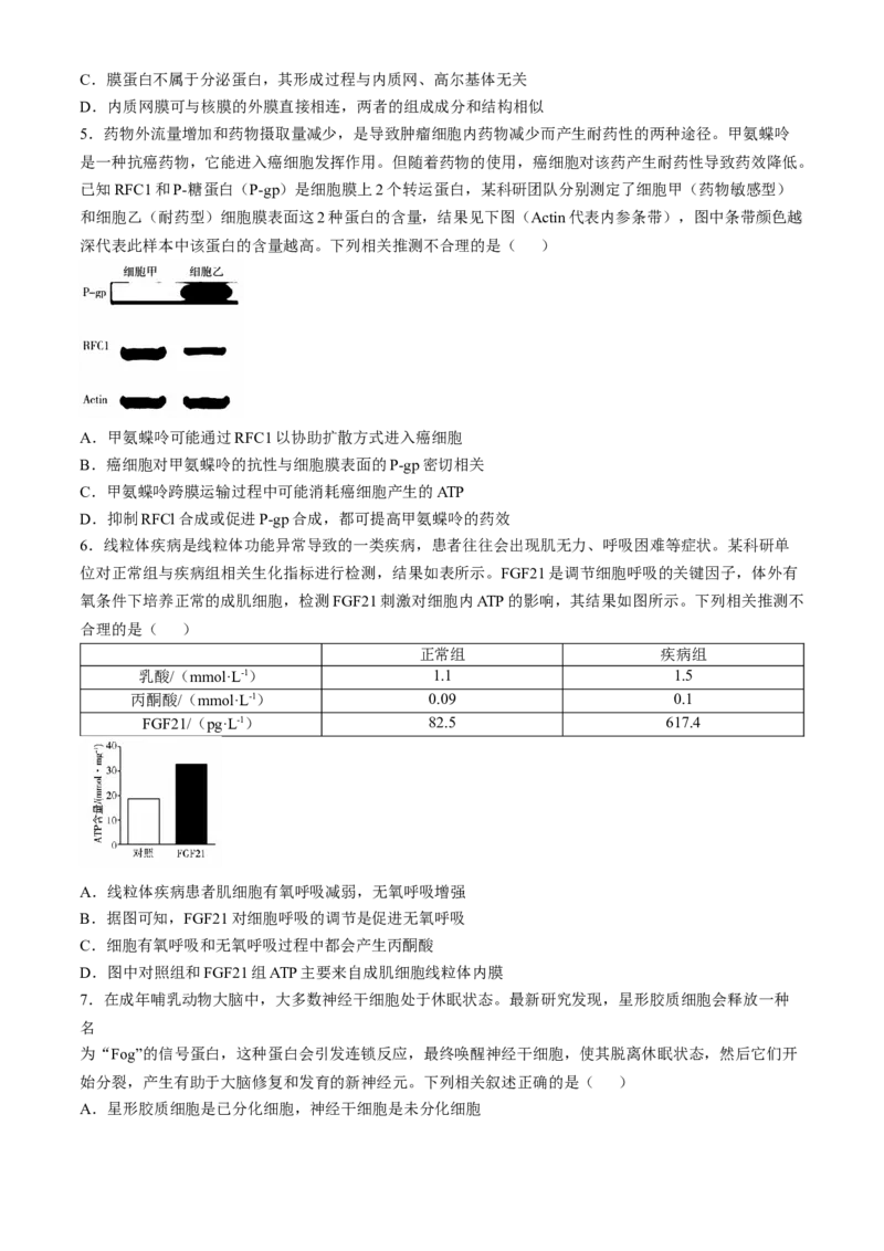 安徽省卓越县中联盟2024-2025学年高三11月期中考试生物试卷（含答案）_2024-2025高三（6-6月题库）_2024年11月试卷_1130安徽省卓越县中联盟2024-2025学年高三11月期中考试（全科）