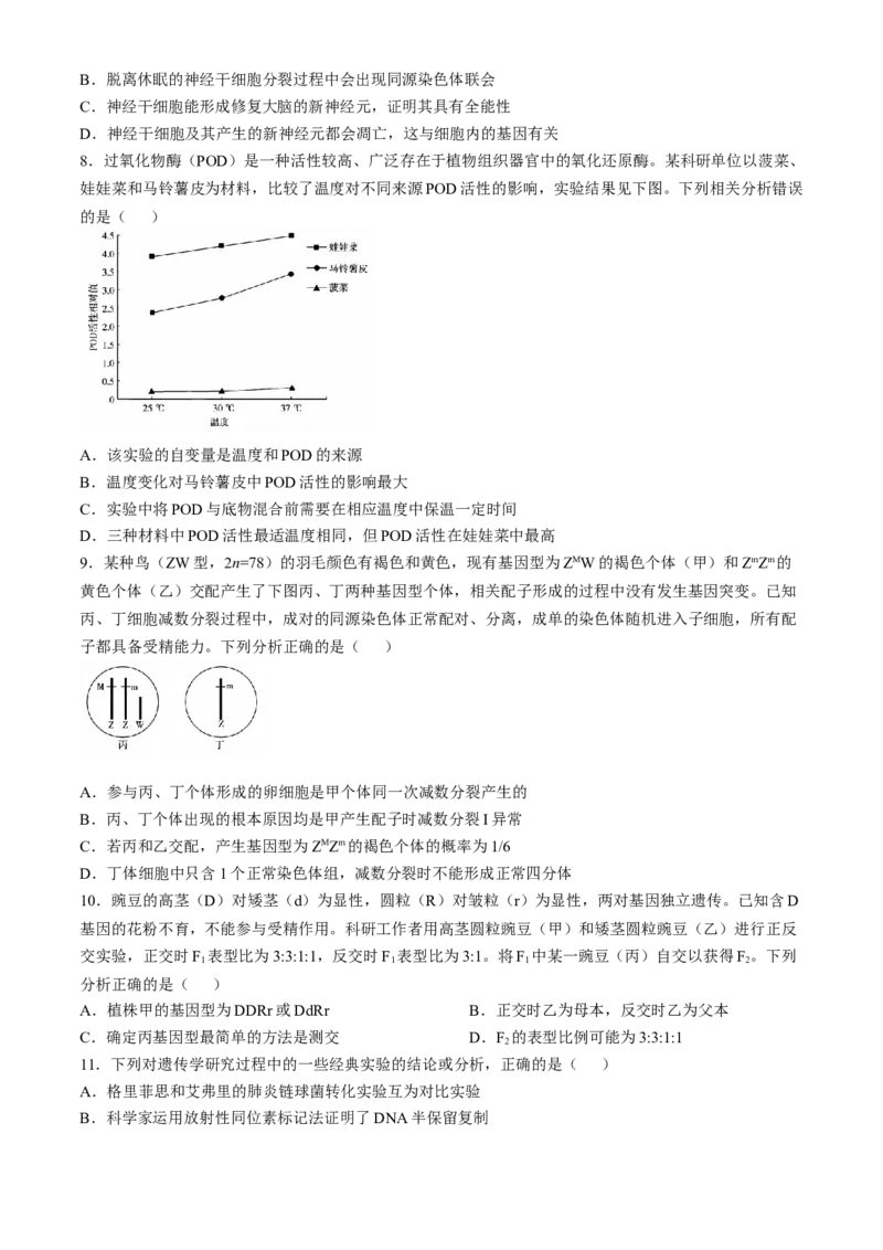 安徽省卓越县中联盟2024-2025学年高三11月期中考试生物试卷（含答案）_2024-2025高三（6-6月题库）_2024年11月试卷_1130安徽省卓越县中联盟2024-2025学年高三11月期中考试（全科）