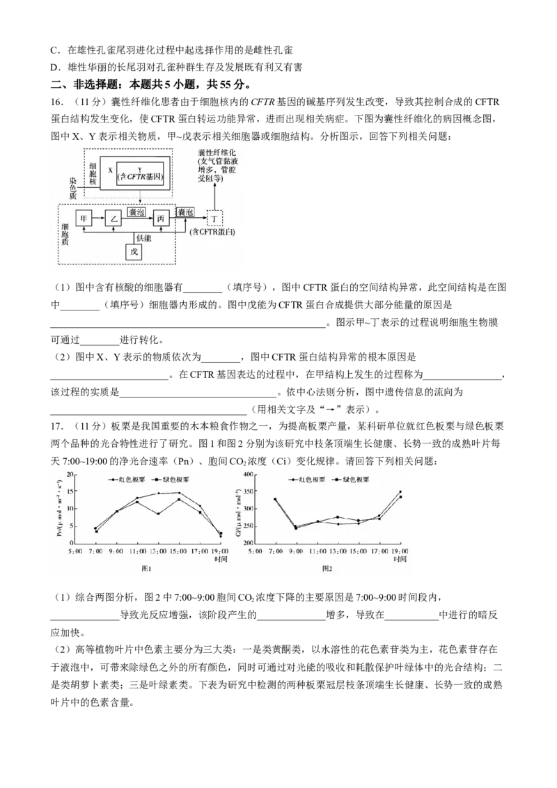 安徽省卓越县中联盟2024-2025学年高三11月期中考试生物试卷（含答案）_2024-2025高三（6-6月题库）_2024年11月试卷_1130安徽省卓越县中联盟2024-2025学年高三11月期中考试（全科）