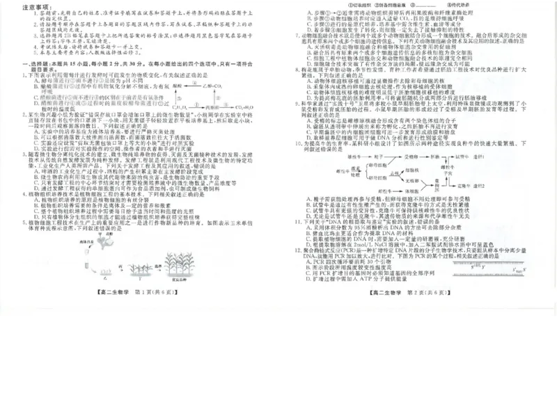 吉林省松原市2024~2025学年度高二下学期期中考试生物学（含答题卡、答案）_2024-2025高二（7-7月题库）_2025年05月试卷_0530吉林省松原市2024-2025学年高二下学期期中考试