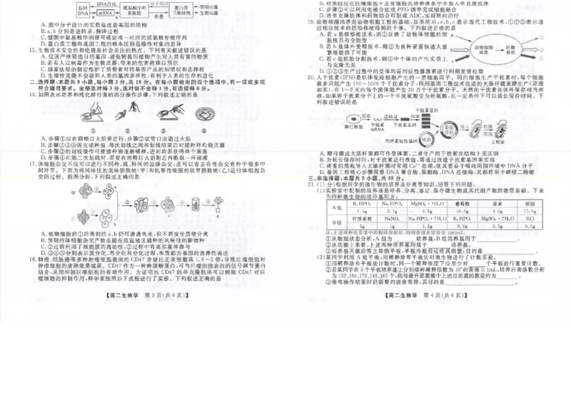 吉林省松原市2024~2025学年度高二下学期期中考试生物学（含答题卡、答案）_2024-2025高二（7-7月题库）_2025年05月试卷_0530吉林省松原市2024-2025学年高二下学期期中考试