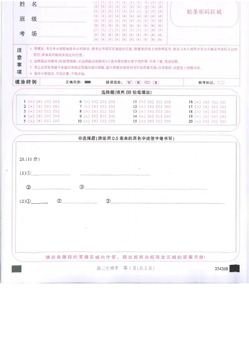 吉林省松原市2024~2025学年度高二下学期期中考试生物学（含答题卡、答案）_2024-2025高二（7-7月题库）_2025年05月试卷_0530吉林省松原市2024-2025学年高二下学期期中考试