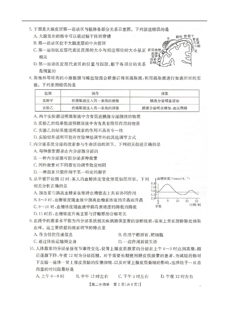 河北省邢台市卓越联盟2025-2026学年高二上学期12月期中生物试题（PDF版，含答案）_251209河北省邢台市卓越联盟2025-2026学年高二上学期12月期中（全）