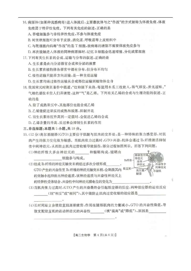 河北省邢台市卓越联盟2025-2026学年高二上学期12月期中生物试题（PDF版，含答案）_251209河北省邢台市卓越联盟2025-2026学年高二上学期12月期中（全）