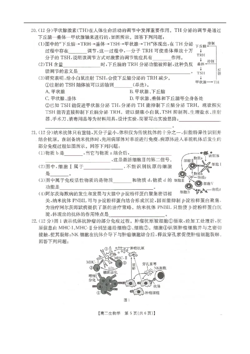 河北省邢台市卓越联盟2025-2026学年高二上学期12月期中生物试题（PDF版，含答案）_251209河北省邢台市卓越联盟2025-2026学年高二上学期12月期中（全）