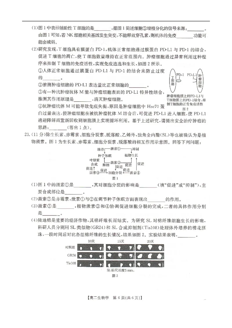 河北省邢台市卓越联盟2025-2026学年高二上学期12月期中生物试题（PDF版，含答案）_251209河北省邢台市卓越联盟2025-2026学年高二上学期12月期中（全）