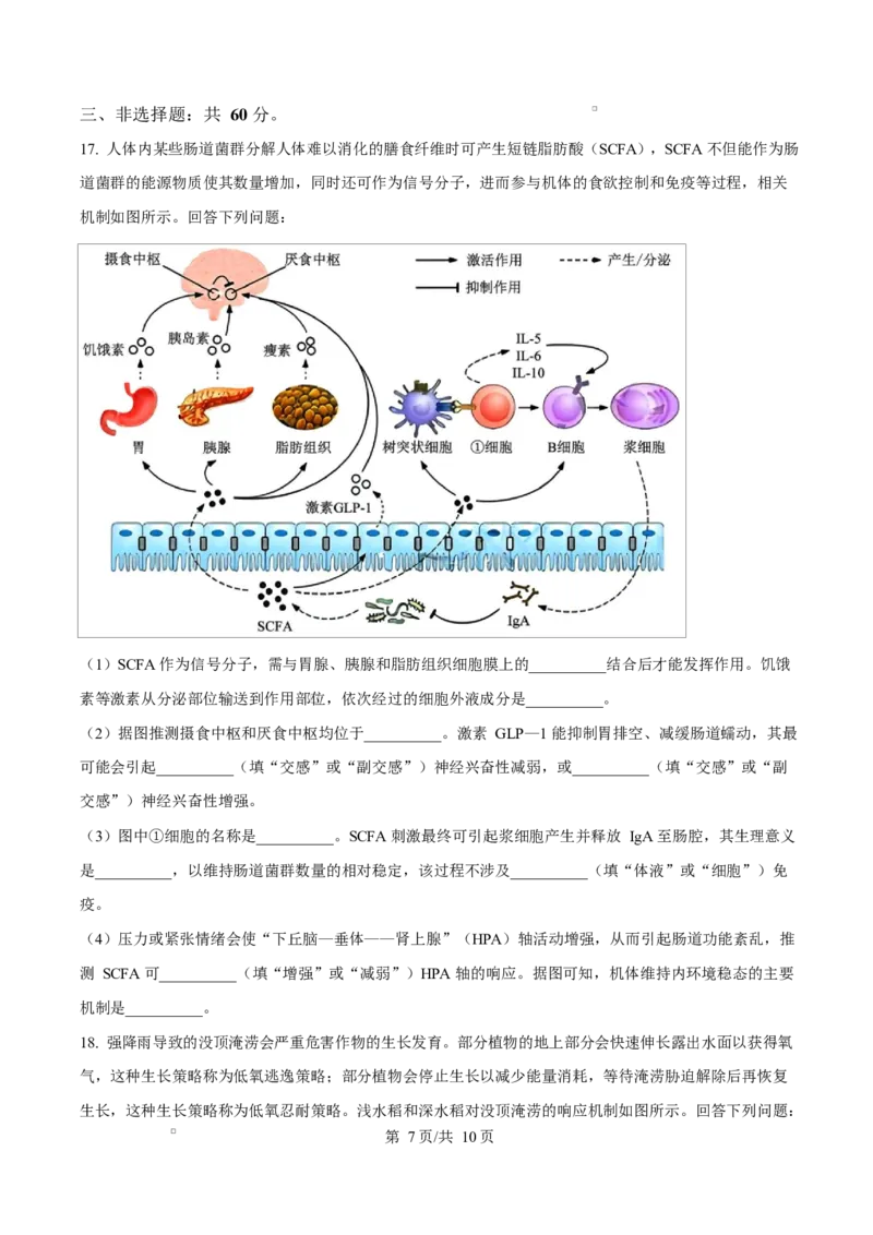 湖南省名校联盟2024-2025学年高二下学期开学质量检测生物试题（原卷版）_2024-2025高二（7-7月题库）_2025年03月试卷_0312湖南省名校联盟2024-2025学年高二下学期开学考试