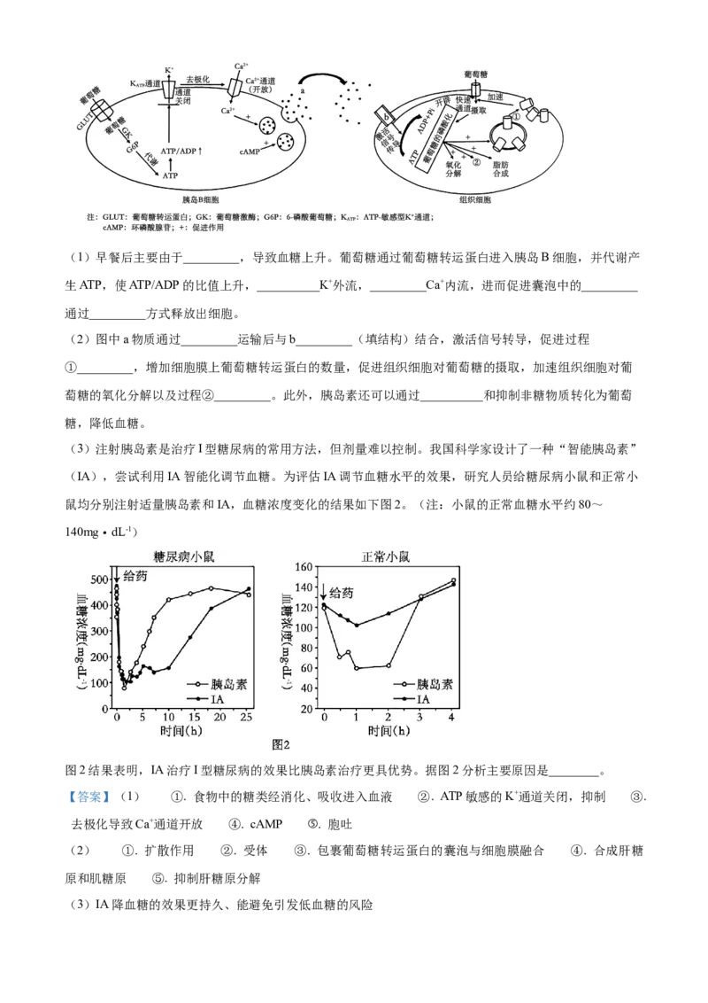 江苏省泰州市2024-2025学年高二上学期期末调研测试生物试卷Word版含解析_2024-2025高二（7-7月题库）_2025年03月试卷_0314江苏省泰州市2024-2025学年高二上学期期末考试