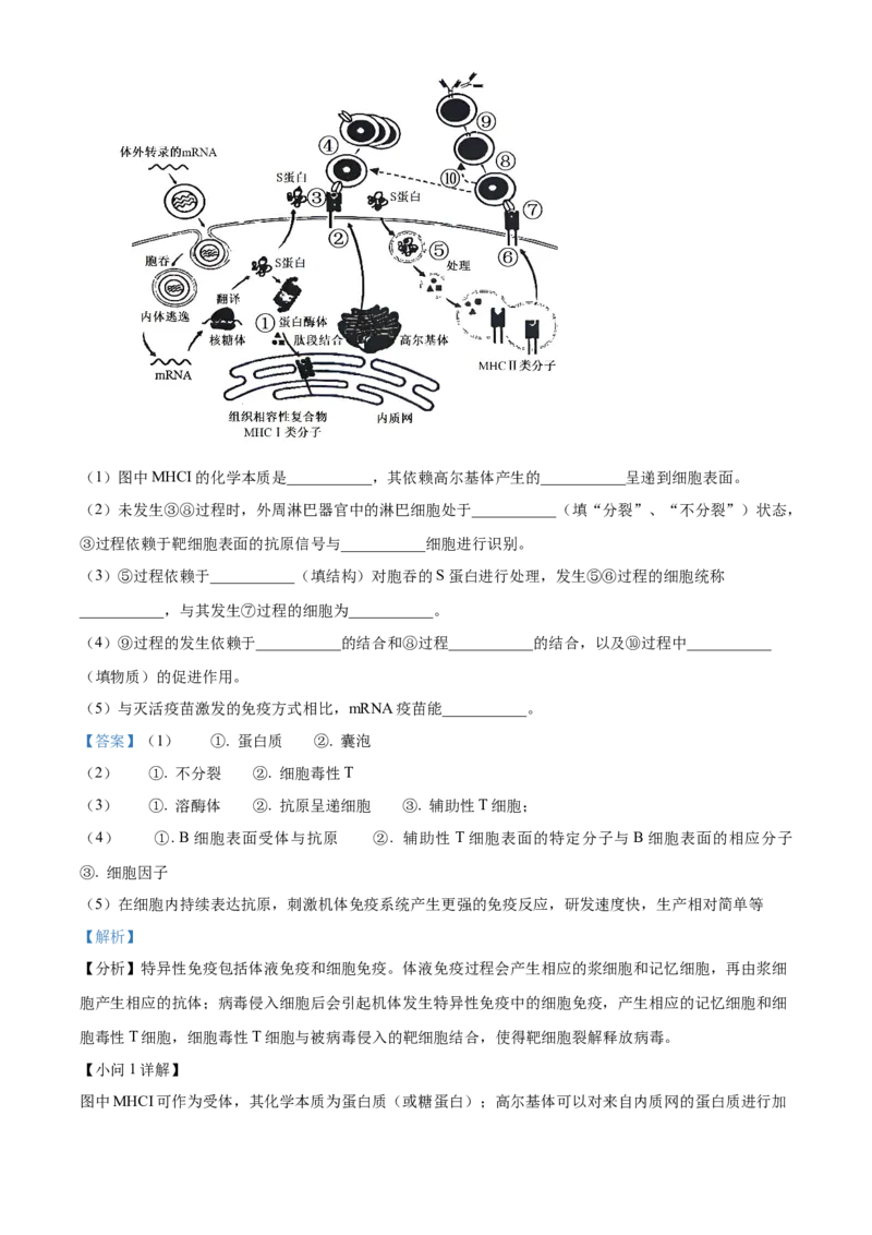 江苏省泰州市2024-2025学年高二上学期期末调研测试生物试卷Word版含解析_2024-2025高二（7-7月题库）_2025年03月试卷_0314江苏省泰州市2024-2025学年高二上学期期末考试