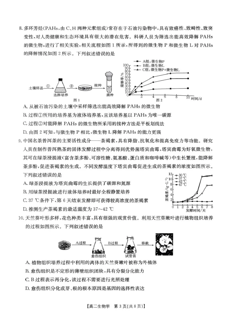 河南省洛阳市创新发展联盟2024-2025学年高二下学期3月月考生物试题_2024-2025高二（7-7月题库）_2025年03月试卷_0325河南省洛阳市创新发展联盟2024-2025学年高二下学期第一次月考