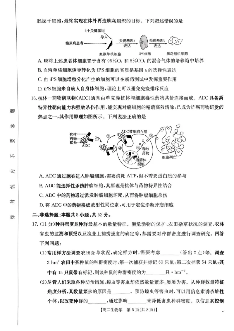 河南省洛阳市创新发展联盟2024-2025学年高二下学期3月月考生物试题_2024-2025高二（7-7月题库）_2025年03月试卷_0325河南省洛阳市创新发展联盟2024-2025学年高二下学期第一次月考