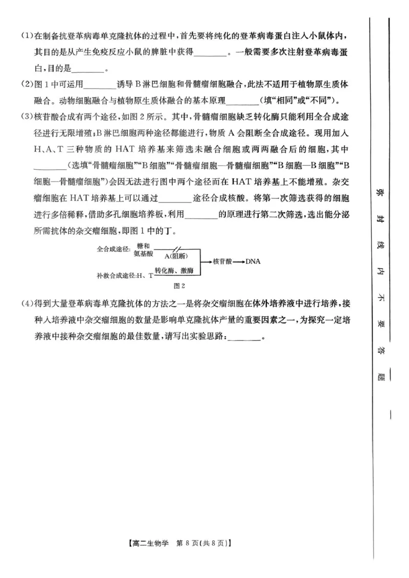 河南省洛阳市创新发展联盟2024-2025学年高二下学期3月月考生物试题_2024-2025高二（7-7月题库）_2025年03月试卷_0325河南省洛阳市创新发展联盟2024-2025学年高二下学期第一次月考