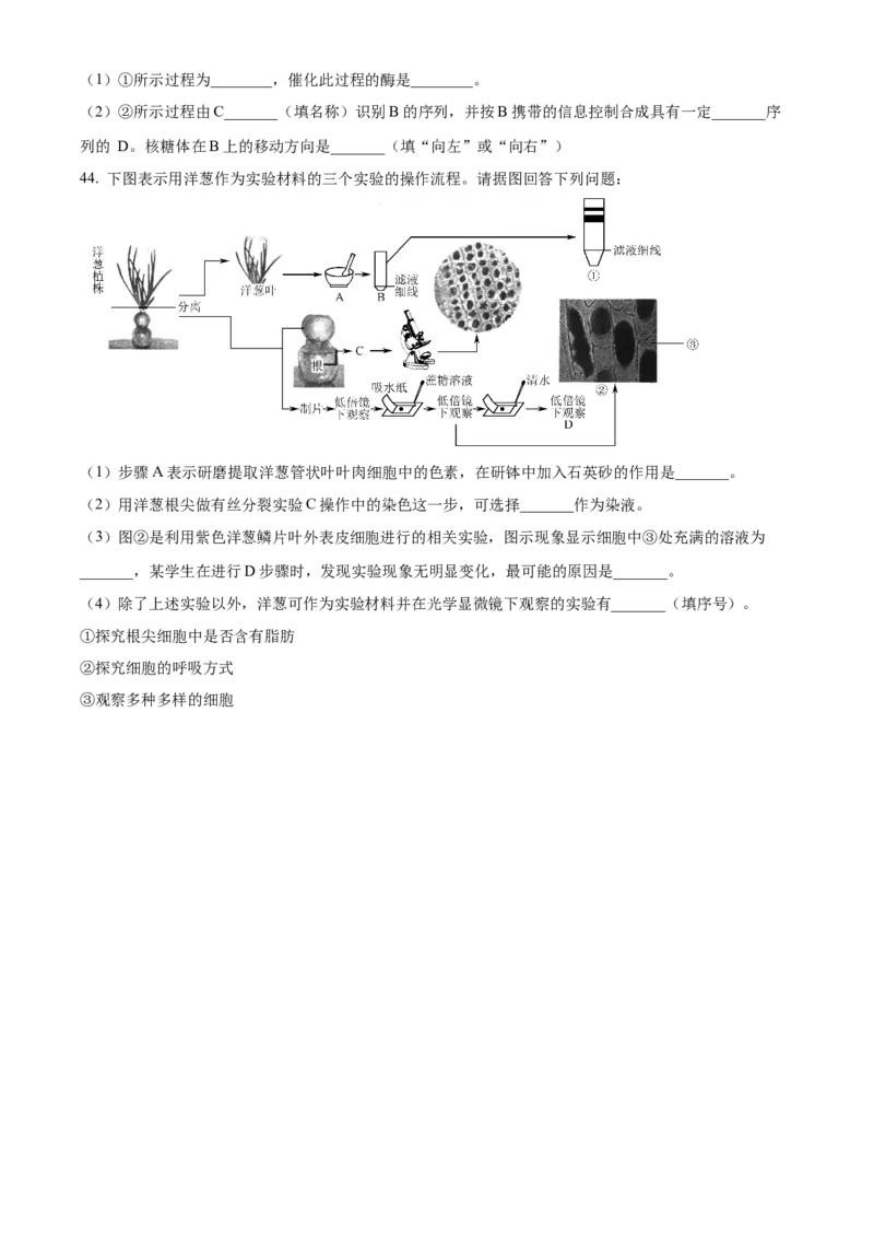 江苏省徐州市铜山区2024-2025学年高二上学期11月期中调研生物试题Word版无答案_2024-2025高二（7-7月题库）_2024年12月试卷_1217江苏省徐州市铜山区2024-2025学年高二上学期11月期中考试