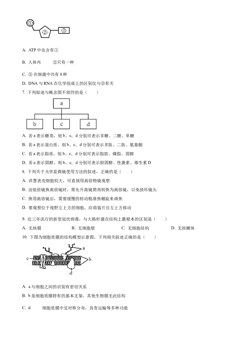 江苏省徐州市铜山区2024-2025学年高二上学期11月期中调研生物试题Word版无答案_2024-2025高二（7-7月题库）_2024年12月试卷_1217江苏省徐州市铜山区2024-2025学年高二上学期11月期中考试