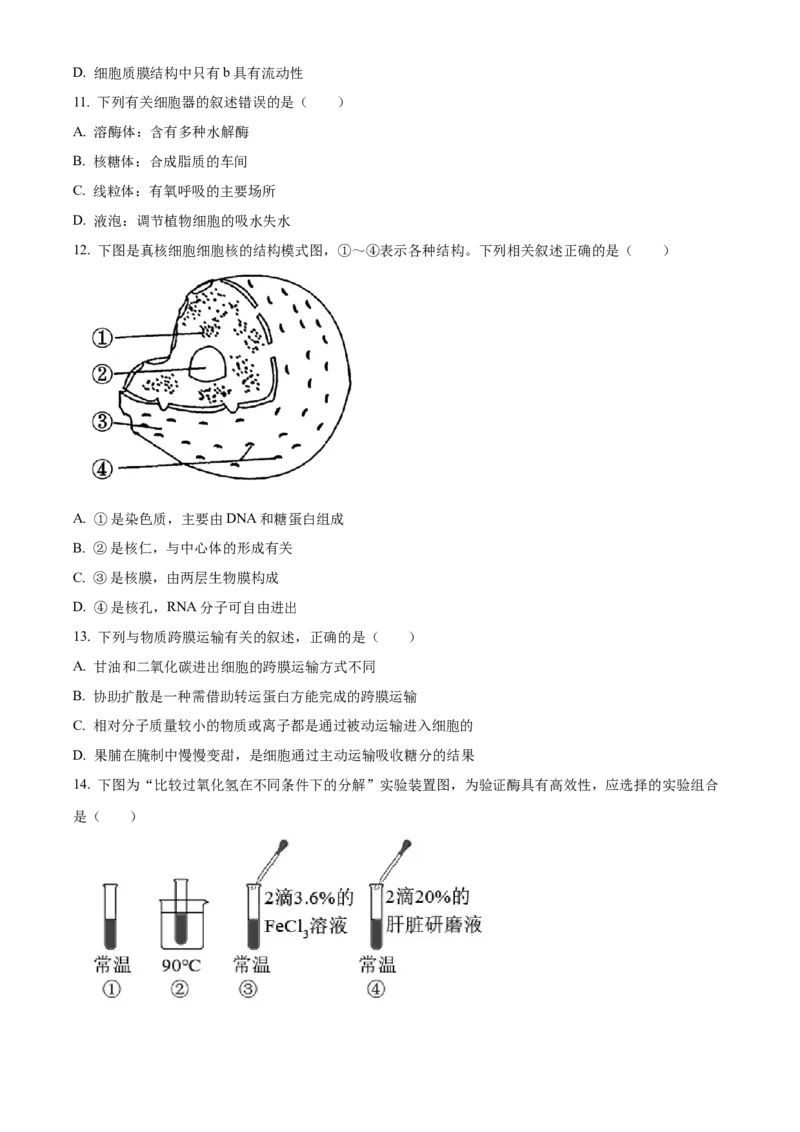 江苏省徐州市铜山区2024-2025学年高二上学期11月期中调研生物试题Word版无答案_2024-2025高二（7-7月题库）_2024年12月试卷_1217江苏省徐州市铜山区2024-2025学年高二上学期11月期中考试
