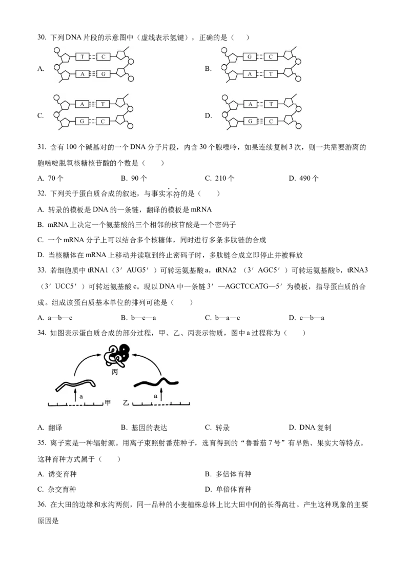 江苏省徐州市铜山区2024-2025学年高二上学期11月期中调研生物试题Word版无答案_2024-2025高二（7-7月题库）_2024年12月试卷_1217江苏省徐州市铜山区2024-2025学年高二上学期11月期中考试