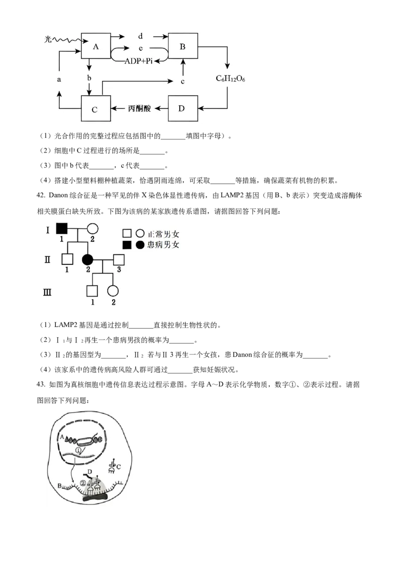 江苏省徐州市铜山区2024-2025学年高二上学期11月期中调研生物试题Word版无答案_2024-2025高二（7-7月题库）_2024年12月试卷_1217江苏省徐州市铜山区2024-2025学年高二上学期11月期中考试