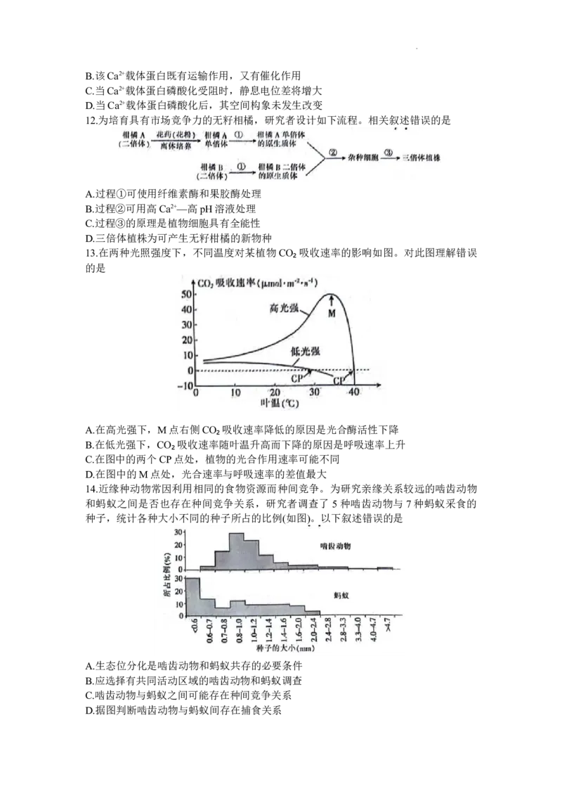 广东省部分学校2023-2024学年高三上学期11月大联考生物(1)_2023年11月_01每日更新_30号_2024届广东省部分学校高三上学期11月大联考