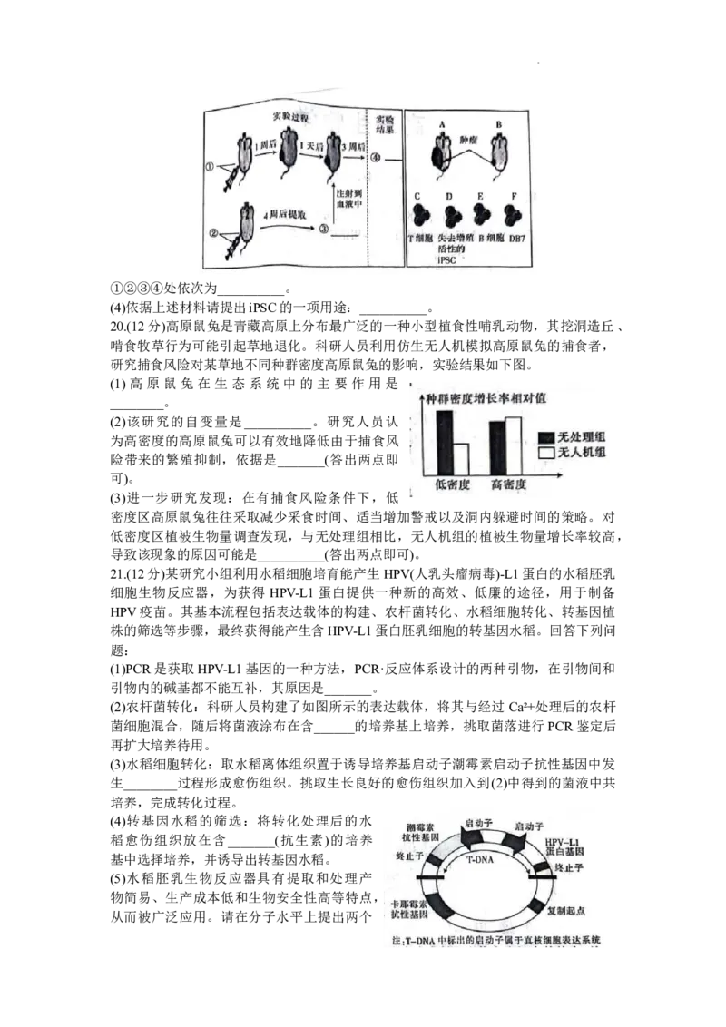 广东省部分学校2023-2024学年高三上学期11月大联考生物(1)_2023年11月_01每日更新_30号_2024届广东省部分学校高三上学期11月大联考