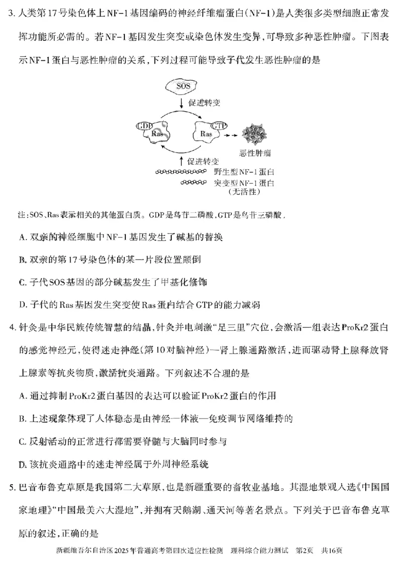 新疆维吾尔自治区2025年普通高考第四次适应性检测理科综合能力测试+答案_2024-2025高三（6-6月题库）_2025年05月试卷_0509新疆维吾尔自治区2025年普通高考第四次适应性检测（全科）
