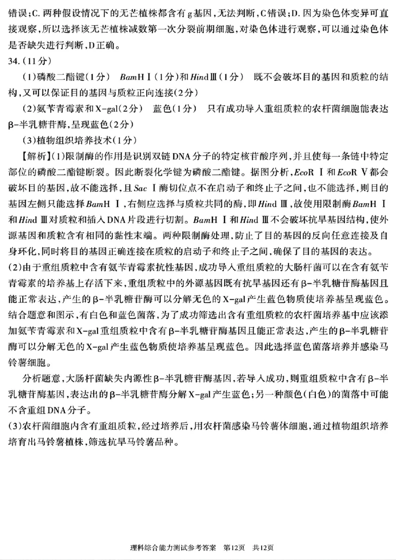 新疆维吾尔自治区2025年普通高考第四次适应性检测理科综合能力测试+答案_2024-2025高三（6-6月题库）_2025年05月试卷_0509新疆维吾尔自治区2025年普通高考第四次适应性检测（全科）