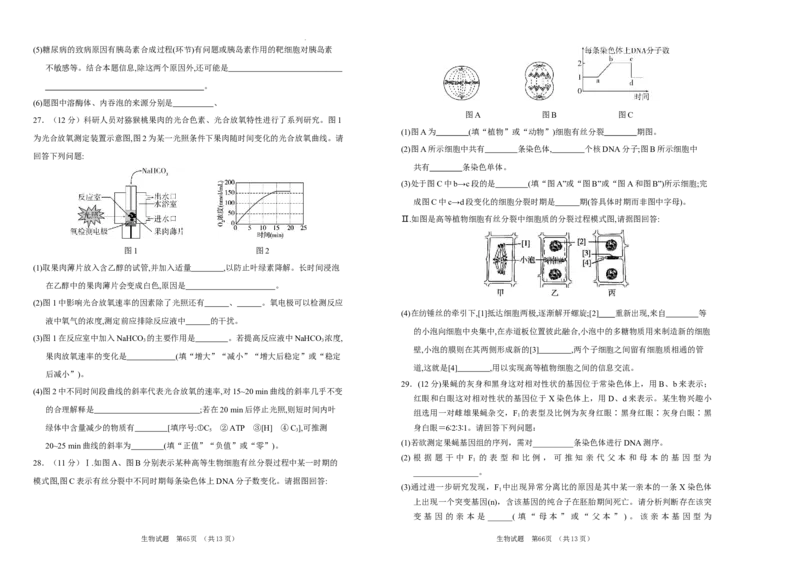 吉林省长春市外国语学校2024届高三上学期期中考试生物(1)_2023年11月_01每日更新_07号_2024届吉林省长春市外国语学校高三上学期期中考试