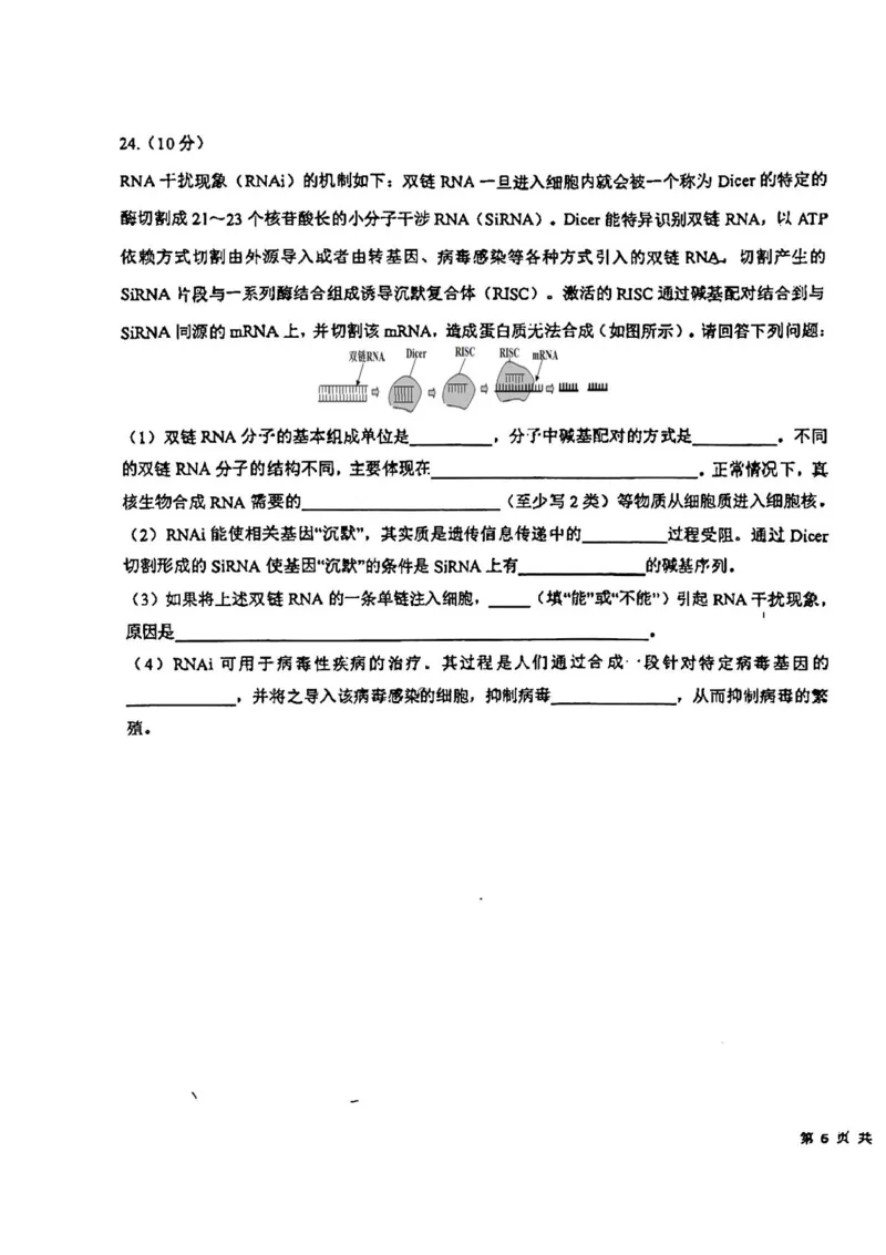 吉林省东北师范大学附属中学2024-2025学年高三上学期第一次摸底考试生物试卷_2024-2025高三（6-6月题库）_2024年10月试卷