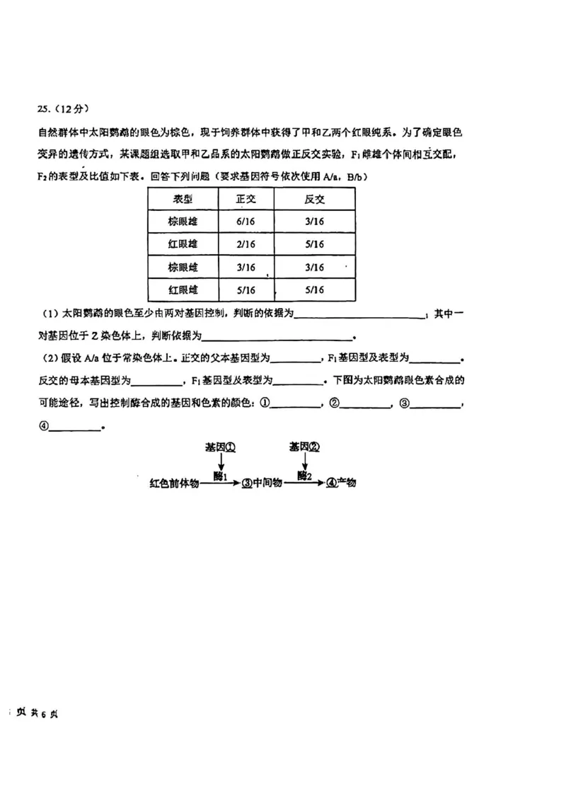 吉林省东北师范大学附属中学2024-2025学年高三上学期第一次摸底考试生物试卷_2024-2025高三（6-6月题库）_2024年10月试卷