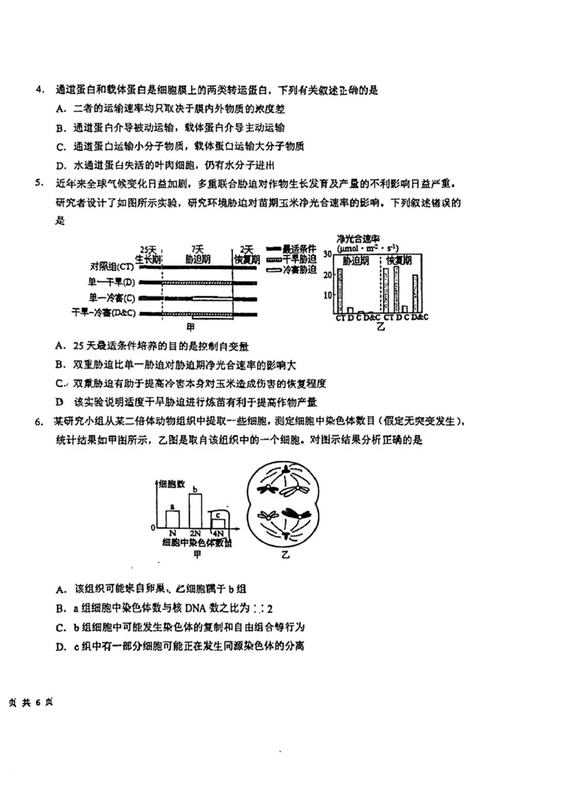 吉林省东北师范大学附属中学2024-2025学年高三上学期第一次摸底考试生物试卷_2024-2025高三（6-6月题库）_2024年10月试卷
