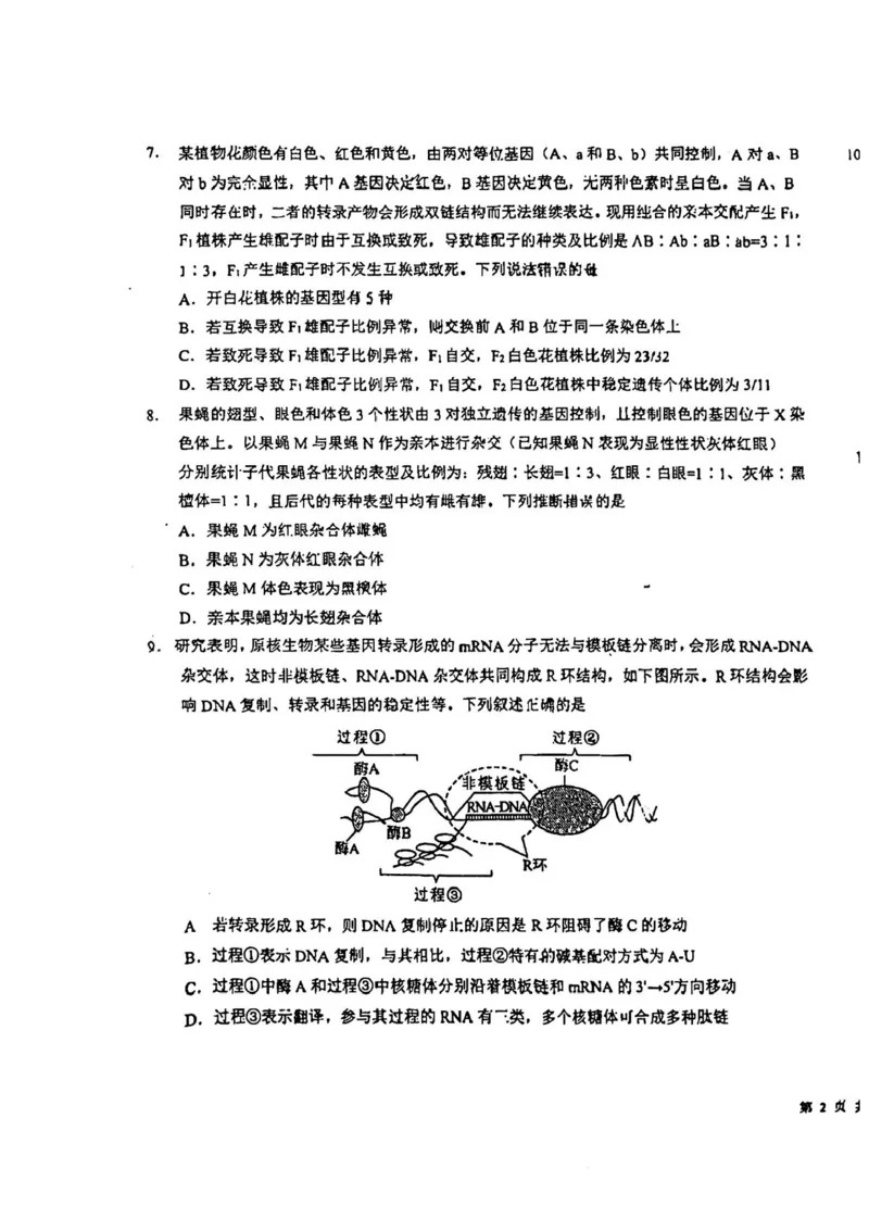 吉林省东北师范大学附属中学2024-2025学年高三上学期第一次摸底考试生物试卷_2024-2025高三（6-6月题库）_2024年10月试卷