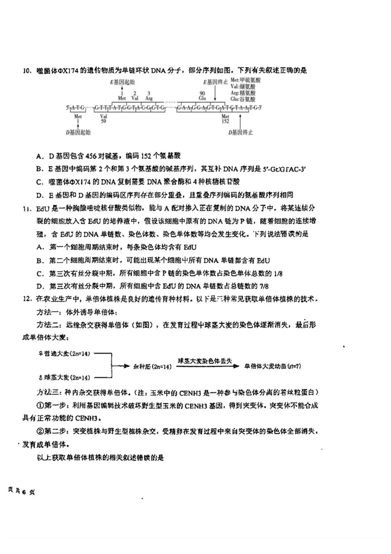 吉林省东北师范大学附属中学2024-2025学年高三上学期第一次摸底考试生物试卷_2024-2025高三（6-6月题库）_2024年10月试卷